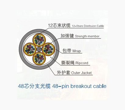 Multi-purpose branch cable